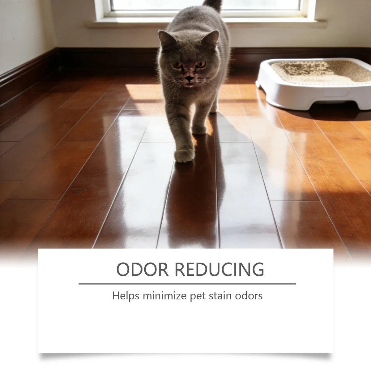 Pet Stain Odor Remover Multi Surface Cleaner Effective for Old Carpet Stains Pet Urine Stain Eliminator Home Pet Cleaning Spray